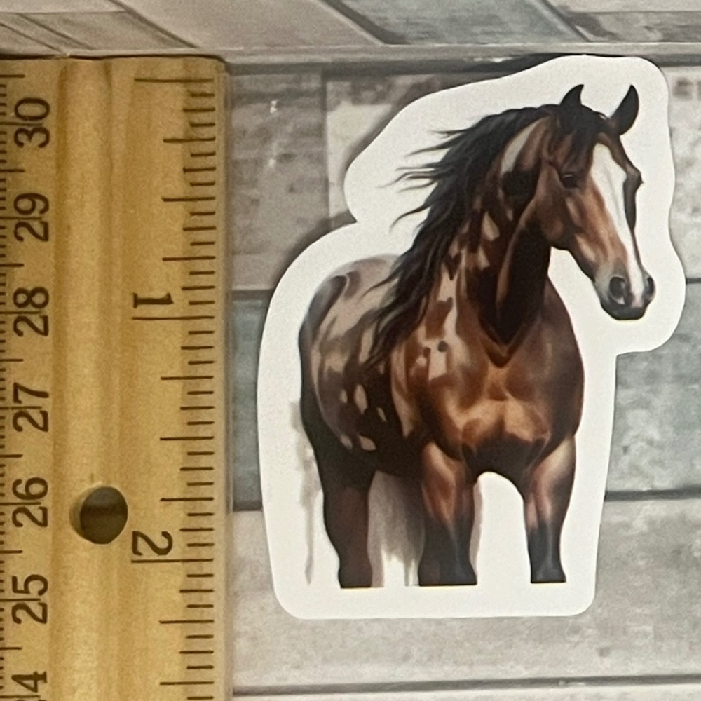 ๐10/$10๐ Horse Reusable Waterproof Vinyl Sticker Decal - Picture 1 of 1